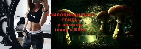 стаф Вязьма