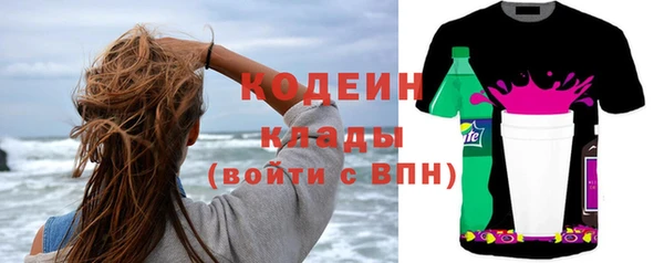 прущие крисы Вяземский