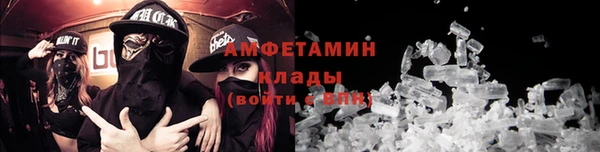 стаф Вязьма