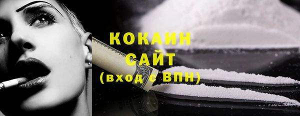 стаф Вязьма