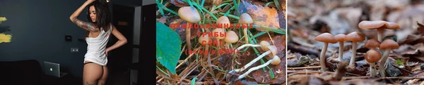 соль ск Вязники