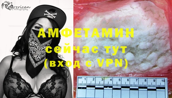 стаф Вязьма