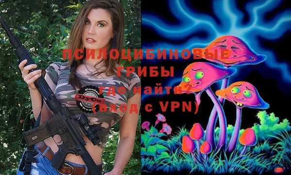 стаф Вязьма